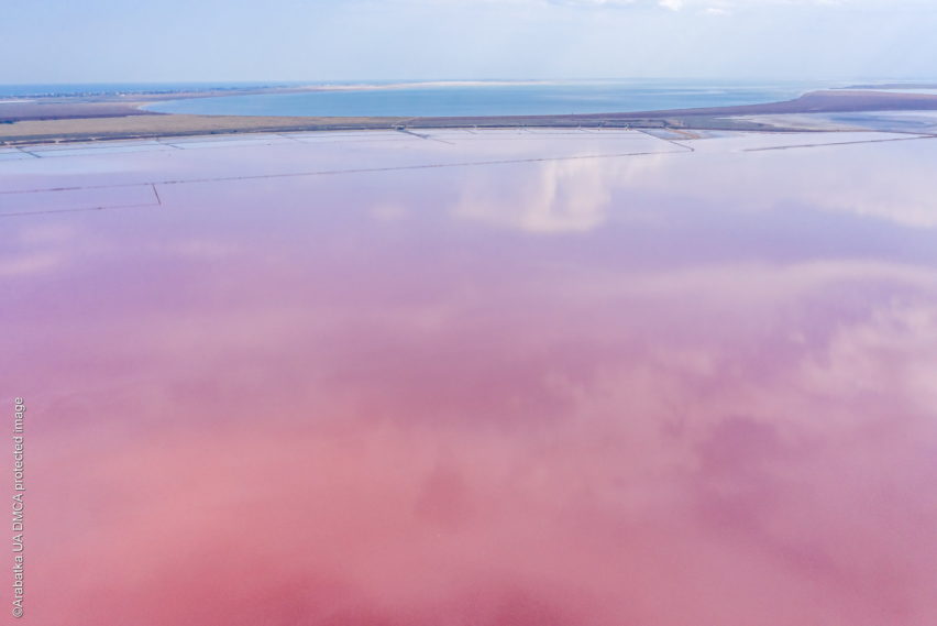 Геническое розовое озеро в августе