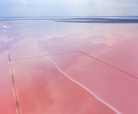 Панорамный вид розового озера